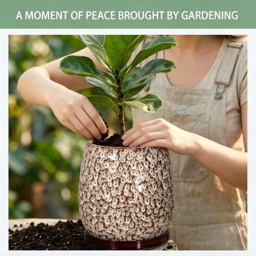 10.3 Inch Ceramic Glaze Plant Pot with Saucer, Flower Pots with Drainage Hole Mesh Net (Spot White) - Image 5