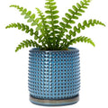D'vine Dev Beaded Ceramic Pot with Saucer, 6 in, Ocean Teal, 27-C-X-8 by DvineDevPlanterPotsandStand