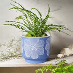 Ceramic Plant Pots, 8+6 Inch, 2 Pcs Indoor Planters with Drainage Holes - Image 2