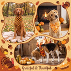 Abbylike 50 Pcs Thanksgiving Dog Bandanas Bulk, Pumpkin Turkey Leaves - Image 4