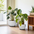 Ceramic Plant Pots, 10+8+6 Inch Flower Pot Indoor, White-Black - Image 5