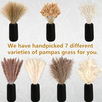 610 PCS Dried Pampas Grass Decor, Dried Flower Bouquets for Wedding, Home, Centerpiece Table, Modern Home, Western Living Room, Nurserie, Nursery, Boho Room, Beach, Women Office, and Boho Decor - Image 4