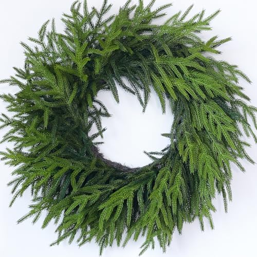 24" Lifelike Touch Artificial Christmas Norfolk Pine Wreath for Front Door by GLIDLION