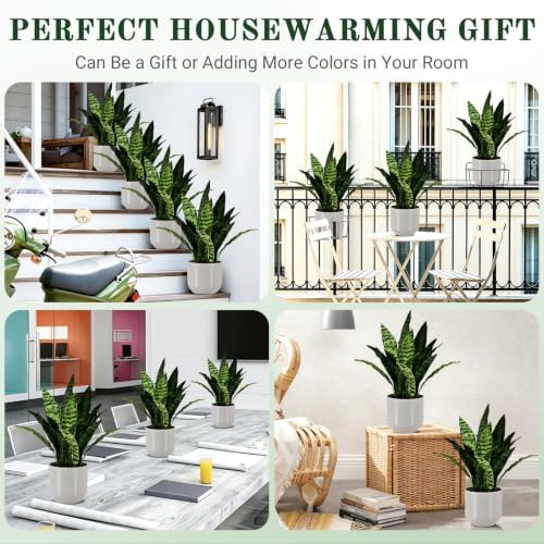 Fake Snake-19”tall Artificial Indoor Potted Plant for Home Decor-Green - Image 4