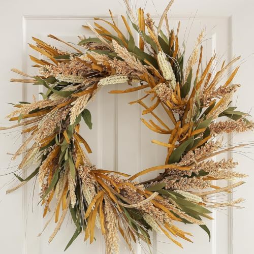 Fall Harvest Grain Wreath for Front Door Outside, 22-24 Inch Indoor Outdoor Wreath for Thanksgiving, Farmhouse Autumn Wreath for Home Porch Wall Window by Hometrance