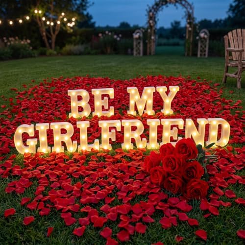 Ceenna Will You Be My Girlfriend Proposal Decoration Set,Red,Bright by Ceenna