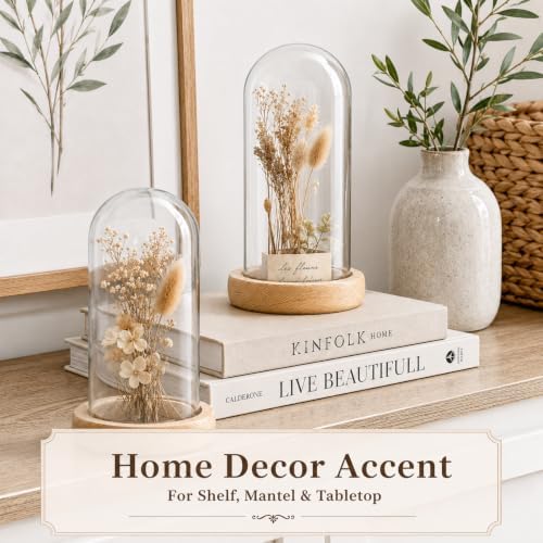 Tessco for you 3 Pcs Glass Cloche Dome Display with Solid Wood Base, L - Image 6
