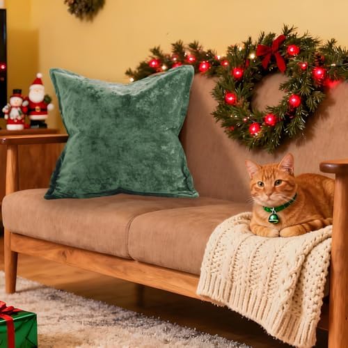 Greek Velvet Euro Sham Covers Set of 2 26x26 Luxury Soft Solid Pillow Covers for Living Room Bedroom Yard,Green - Image 2