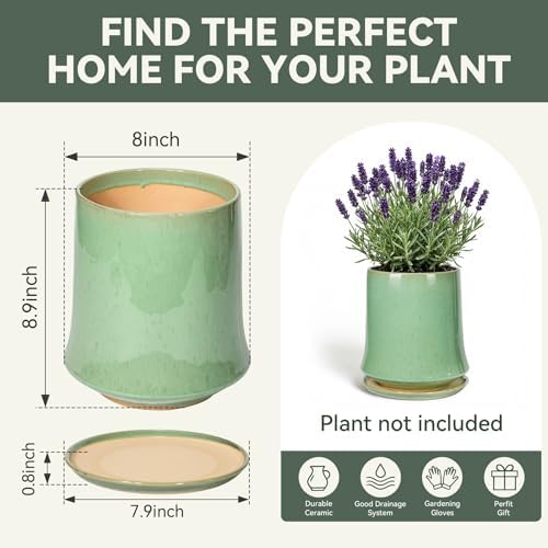 8 Inch Ceramic Planter Pot with Saucer Drainage Leak-Proof Mesh,Flower Pots for Lavender with Gardening Gloves,Ceramic Planter for Orchid(Light Green) - Image 6