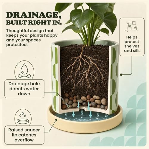Original Earthlings Ceramic Plant Pots, Indoor Planters - Set of 3 - Image 3