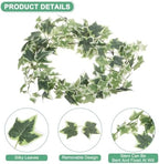 M METERXITY 3-Pack Artificial Ivy Vines Kit, 6 ft Silk Greenery Fake Ivy Vines for Room Decor, Ivy Garland for Bedroom/Window/Wedding/Party/Wall Hanging Plants [White Green] - Image 2