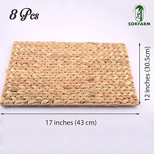 Water Hyacinth Rectangular Placemats Set of 8, 17 x 12 Inch Woven Rattan Table Mats for Dining Table, Heat Resistant Wicker Place Mats for Rectangular Tables, Boho Farmhouse Kitchen Decor - Image 2