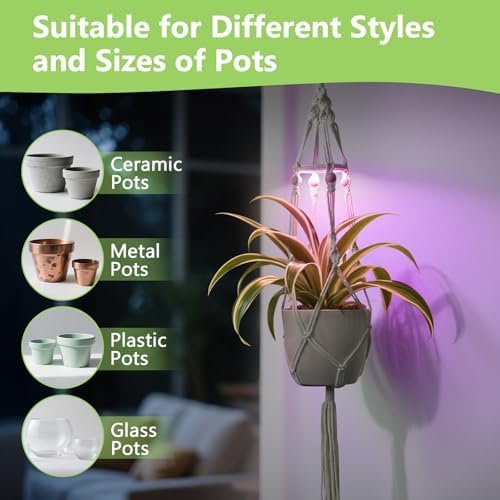 Macrame Plant Hangers - Beautiful Plants in Low Light - Image 6