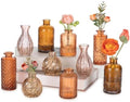 Glasseam Glass Bud Vases for Flowers: 10Pcs Fall Amber Small Vases Set by Glasseam