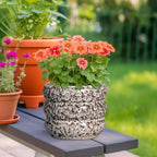 SQOWL Ceramic Plant Pots - 8 Inch Ceramic Planter for Indoor Plants Outdoor, Round Planter with Drainage Hole, Round Decorative Flower Pots, Living Room Office Garden Decor, Gardening Gifts, White - Image 2