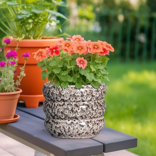 SQOWL Ceramic Plant Pots - 8 Inch Ceramic Planter for Indoor Plants Outdoor, Round Planter with Drainage Hole, Round Decorative Flower Pots, Living Room Office Garden Decor, Gardening Gifts, White - Image 2