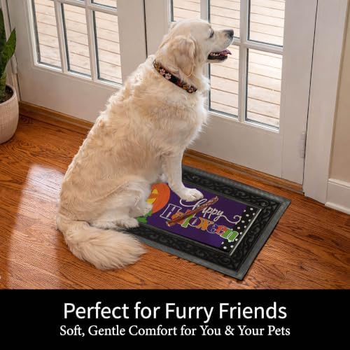 Evergreen Sassafras Fall Christmas Holiday Doormat Insert Bundle & Tray Set of 5, Interchangeable Entrance Door mats Indoor and Outdoor Welcome Mat 30 x 18 Tray Non Slip Backing Low Profile - Image 6