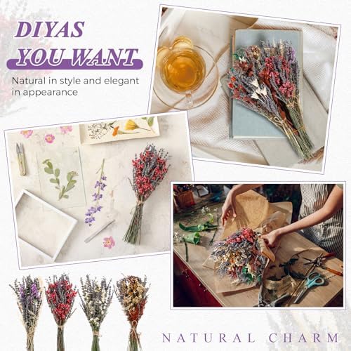 Layhit 8 Pack Large Size Boho Dried Flowers 15-17 Inch, Lavender - Image 5