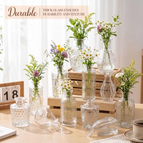 Dandat 24 Pieces Small Clear Vase Bulk 12 Style Decorative Bud Vase - Image 5
