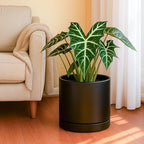 D'vine Dev 10 Inch Ceramic Planter Pot, Black, 94-O-E-2 - Image 2