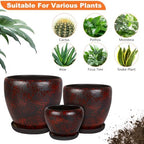 Ceramic Plant Pots With Saucer & Drainage Hole, 10 inch Indoor Flower Pots - Image 5