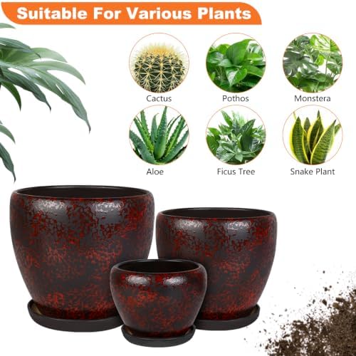 Ceramic Plant Pots With Saucer & Drainage Hole, 10 inch Indoor Flower Pots - Image 5