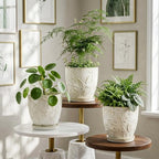 Hollyone Set of 3 White Ceramic Planter 6 Inch Flower Plant Pot with Drainage Hole and Saucer for Plants Embossed Indoor Outdoor Garden Embossed Ceramic Glazed Round Pot for Succulent Orchid - Image 6