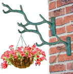 Blulu 2 Pcs Cast Iron Plant Hanger Wall Bracket Tree Branch, Bronze by Blulu
