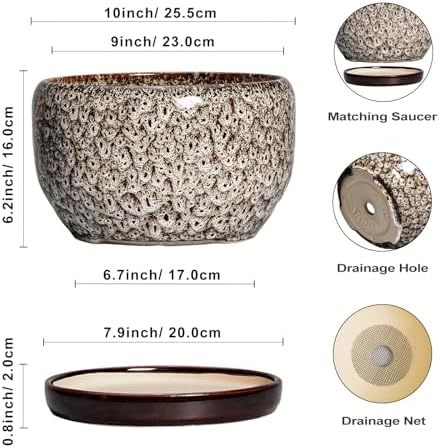 SQOWL Ceramic Plant Pots - 10 Inch Planter for Indoor Plants Outdoor, Large Flower Pots with Drainage Hole and Saucer, Decorative Round Planter, Apartment Decor, Garden Gifts for Women, White - Image 3
