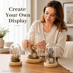 Tessco for you 3 Pcs Glass Cloche Dome Display with Solid Wood Base, L/M/S - Image 6