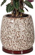 10.3 Inch Ceramic Glaze Plant Pot with Saucer, Flower Pots with Drainage Hole Mesh Net (Spot White) by Unknown