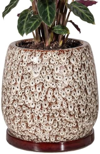 10.3 Inch Ceramic Glaze Plant Pot with Saucer, Flower Pots with Drainage Hole Mesh Net (Spot White) by Unknown