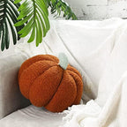 Kajaia 2 Pcs 3D Pumpkin Pillow Fall Decor Cushions,White, Brown - Image 5