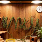 118"Green S Bendable Grapevines Garland Faux Tree Branch Wall Hanging Decor by Fosolasi