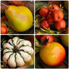 24 Inch Fall Wreaths for Front Door, Autumn Harvest Wreath with Pears - Image 5