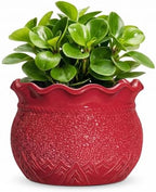 Ceramic Planter 6 Inch, Ceramic Plant Pots for Indoor Plants, Red by Fivepot