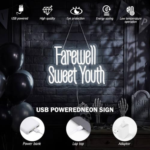 Zhengmy Farewell Sweet Youth Neon Sign, USB Powered Birthday Wall Decor - Image 4