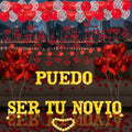 Puedo Ser Tu Novio Light Up Letters Proposal Decorations, 15Pcs 6.3" Letter Signs, 24Pcs Flameless Candles 2000Pcs Red Artificial Rose Petals 40Pcs Latex Balloons 10Pcs Heart Balloon Valentine's Day by Fezava