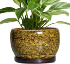 SQOWL Ceramic Flower Pots - 8 inch Ceramic Planter for Indoor Plants, Decorative Plant Pots with Drainage Hole and Saucer, Round Planter Outdoor, Porch Backyard Decor, Housewarming Gifts, Yellow by SQOWL
