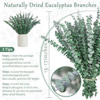 50 Pcs Preserved Eucalyptus Stems, 17in Real Dried Eucalyptus for Shower - Image 2