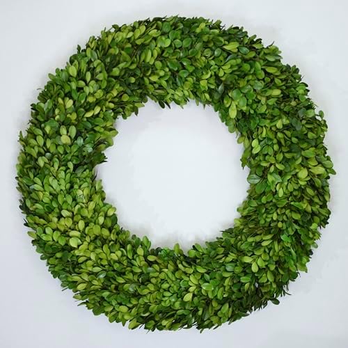 Preserved Boxwood Wreath 20 Inch Large – Real Greenery Spring Summer & Year-Round Indoor Décor, Farmhouse Wall Door & Mantel, Fade-Resistant by Unknown