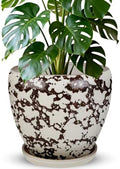 Ceramic Plant Pots With Saucer & Drainage Hole, 10 inch Indoor Flower Pots by Xoogifae