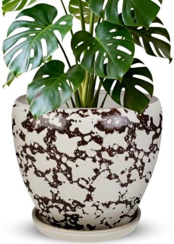 Ceramic Plant Pots With Saucer & Drainage Hole, 10 inch Indoor Flower Pots by Xoogifae