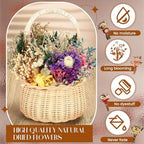 Layhit 24 Pcs Mini Dried Flower Bouquets Boho for Vase, Colorful - Image 5