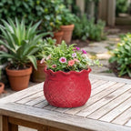 Ceramic Planter 6 Inch, Ceramic Plant Pots for Indoor Plants, Red - Image 4
