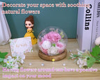 Long-Lasting Real Flowers - Unique Floral Gift For You To Send Love - Image 5