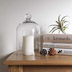 KMwares Clear Glass Display Dome Cloche Bell Jar Tabletop Decorative Case Covered Plants/Food (5.1"x8.9") - Image 6