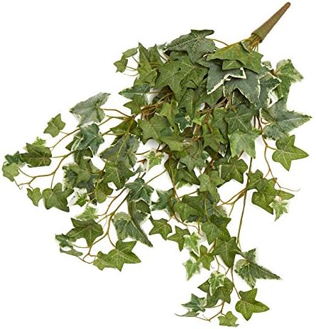 Factory Direct Craft Variegated Poly Silk Draping Ivy Bushes | 2 Greenery Bushes by FactoryDirectCraft
