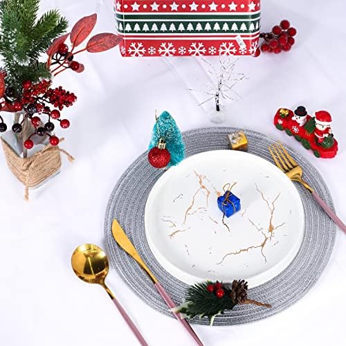 Buryeah 24 Pieces 13 Inch Christmas Round Placemats Circle Woven Place Mats Boho Decor Dining Table Mats Table Scape Hosting Friends for Wedding Birthday Dinner Parties (Silver) - Image 6