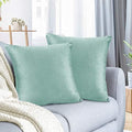 Nestl Throw Pillow Covers, Cozy Velvet Decorative Autumn Pillow Covers 22 x 22 Inches, Soft Solid Couch Pillow Covers for Sofa, Bed and Car, Set of 2 - Aqua Light Blue by Nestl